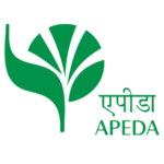 screenshot 2026 02 24 124915